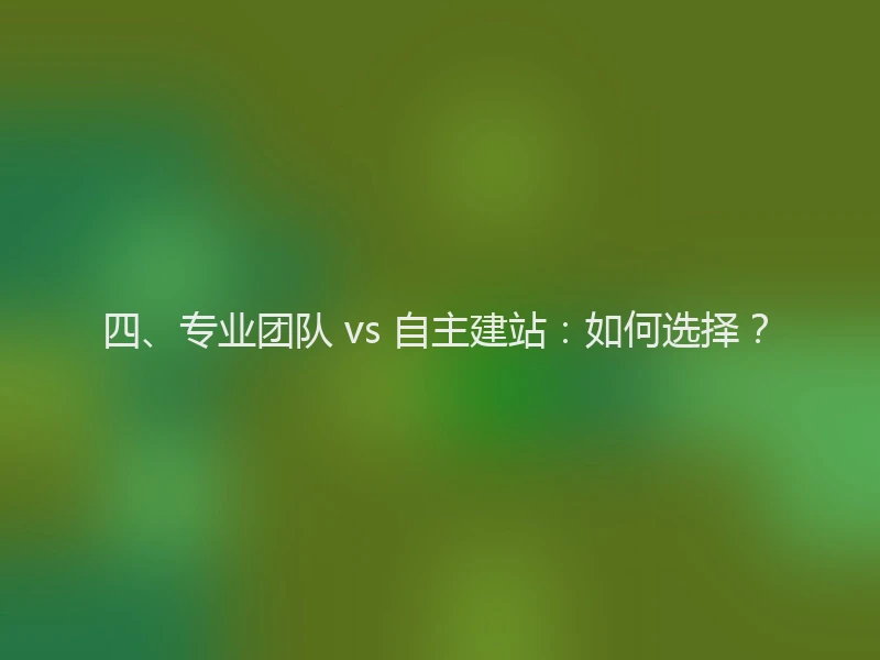 四、专业团队 vs 自主建站:如何选择?