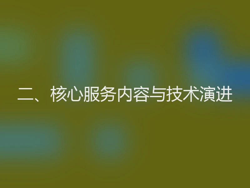 二、核心服务内容与技术演进