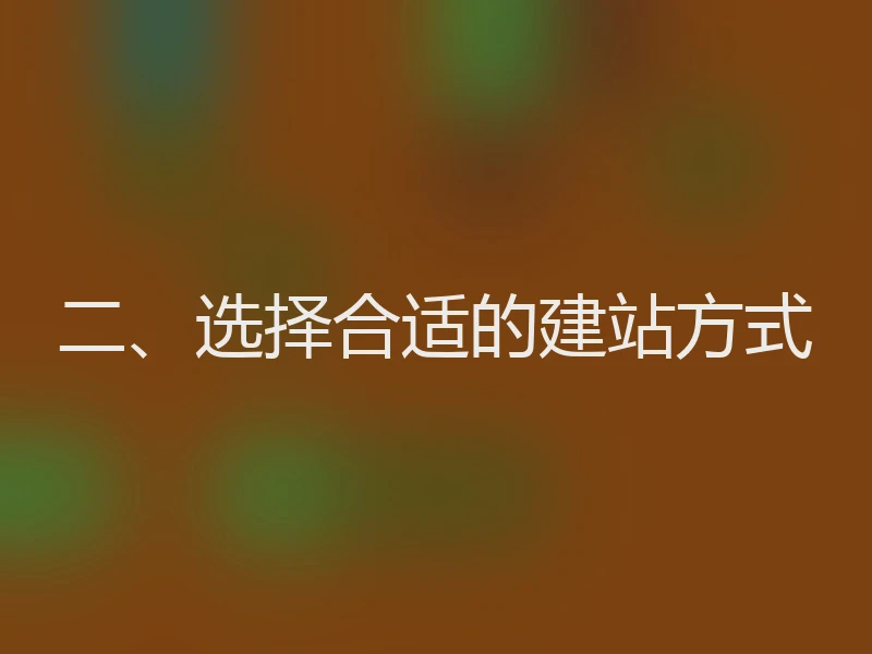 二、选择合适的建站方式