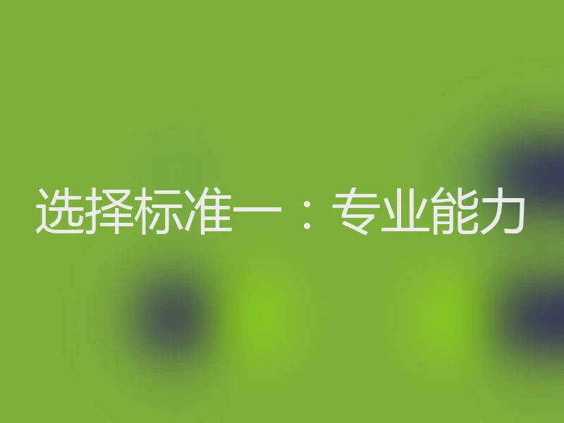 选择标准一：专业能力