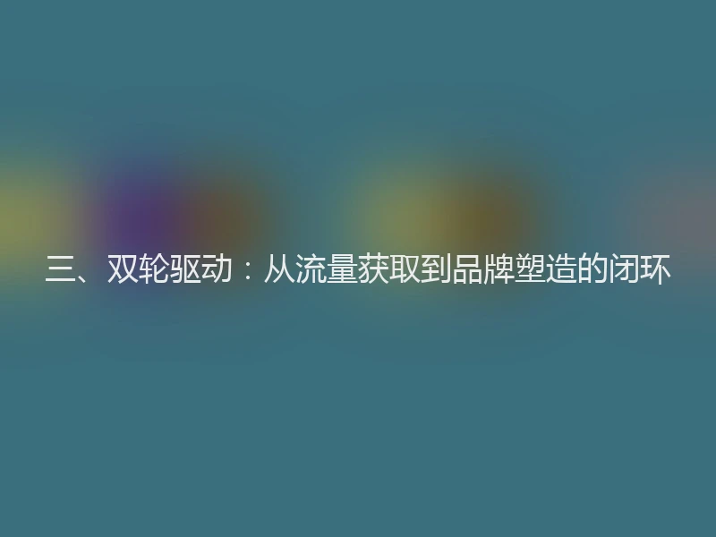 三、双轮驱动：从流量获取到品牌塑造的闭环