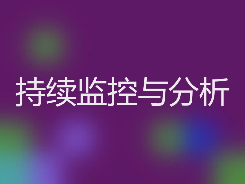 持续监控与分析