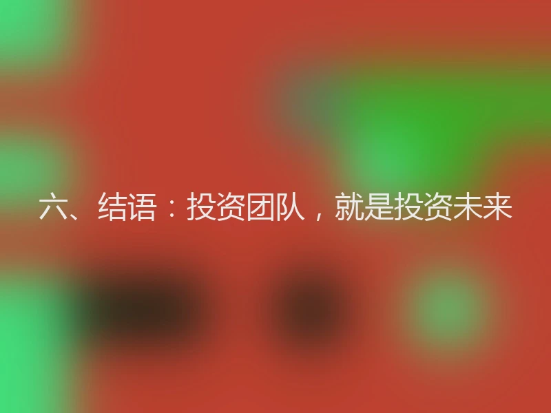 六、结语：投资团队，就是投资未来