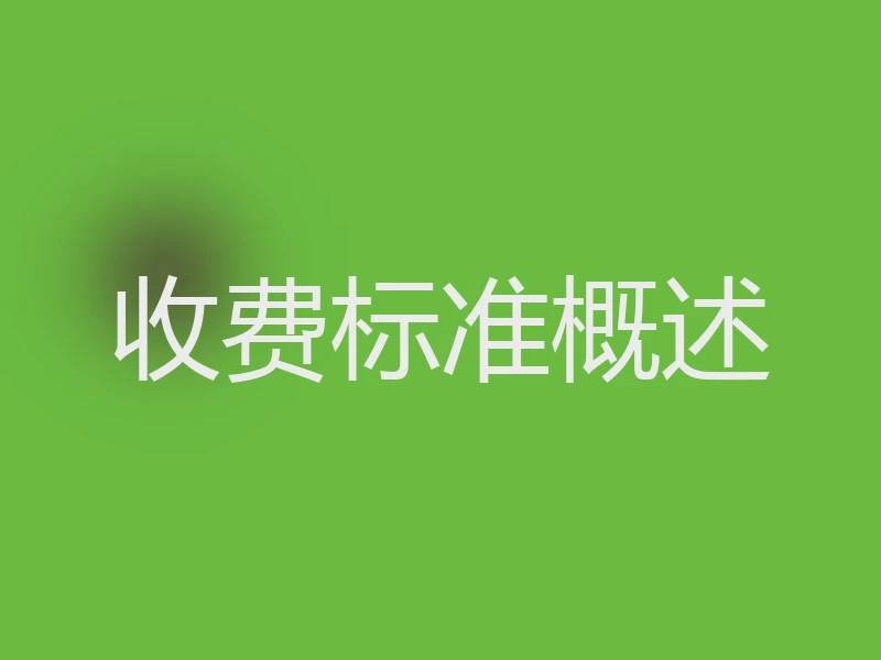收费标准概述