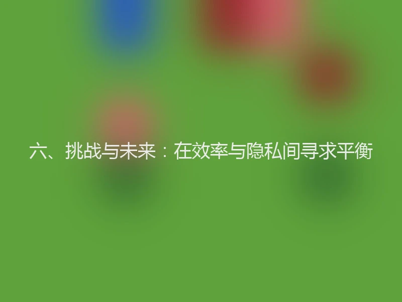 六、挑战与未来：在效率与隐私间寻求平衡