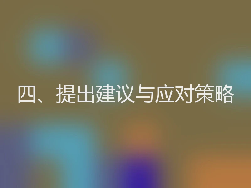 四、提出建议与应对策略