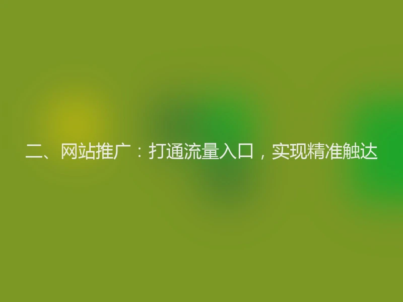二、网站推广：打通流量入口，实现精准触达