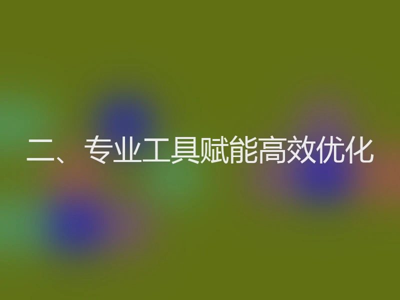 二、专业工具赋能高效优化