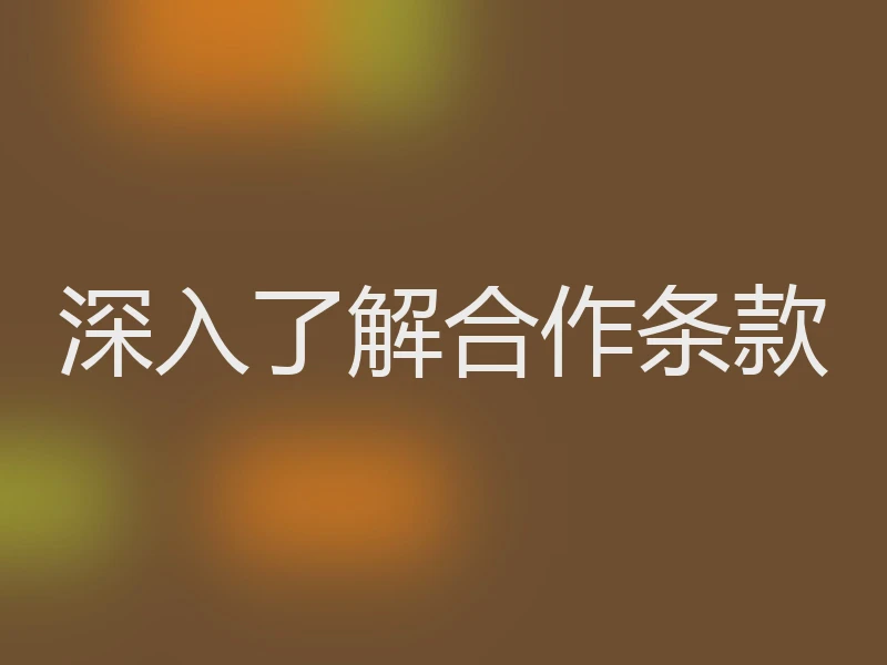 深入了解合作条款