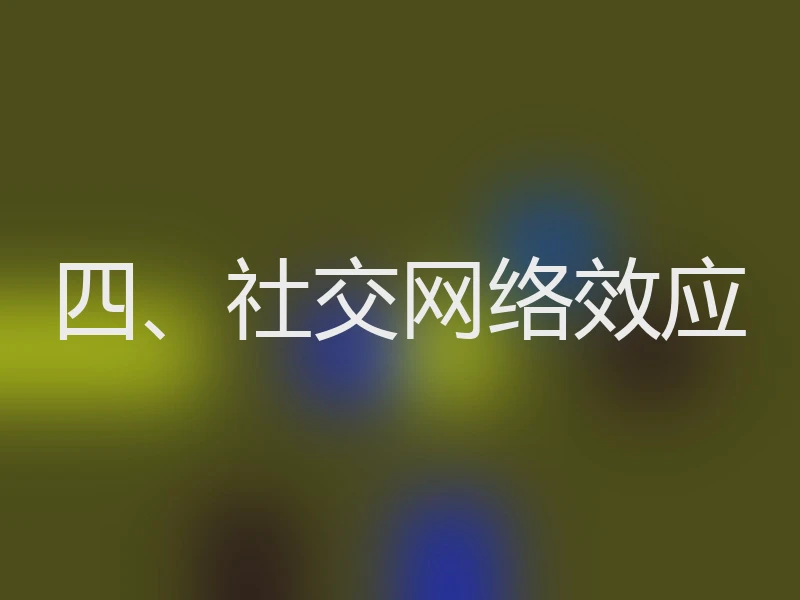 四、社交网络效应
