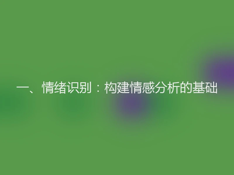 一、情绪识别：构建情感分析的基础