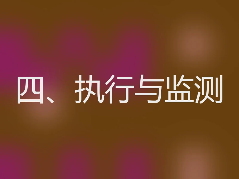 四、执行与监测