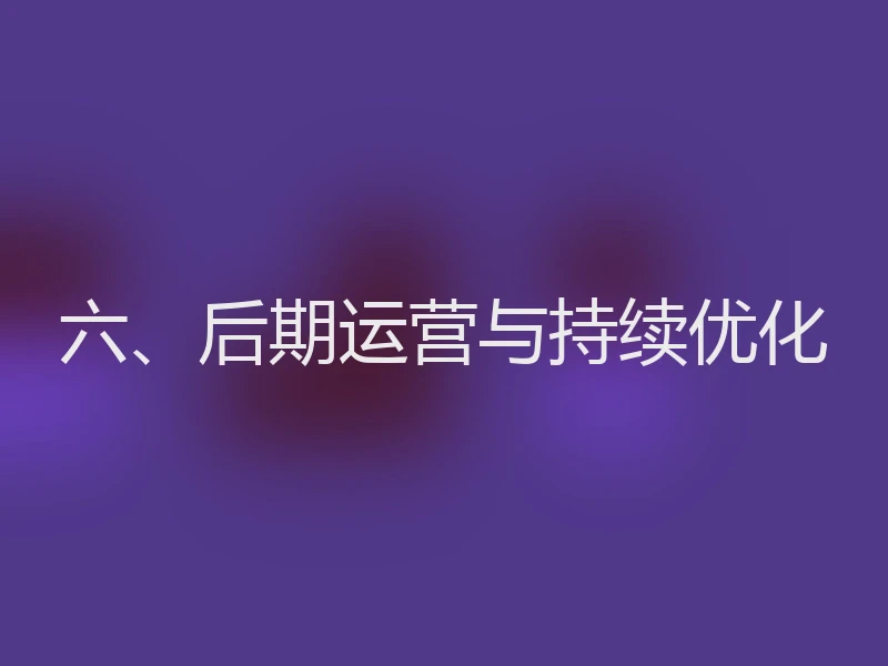 六、后期运营与持续优化