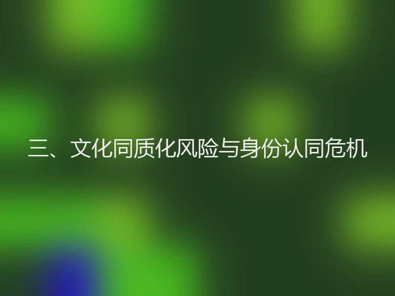 三、文化同质化风险与身份认同危机