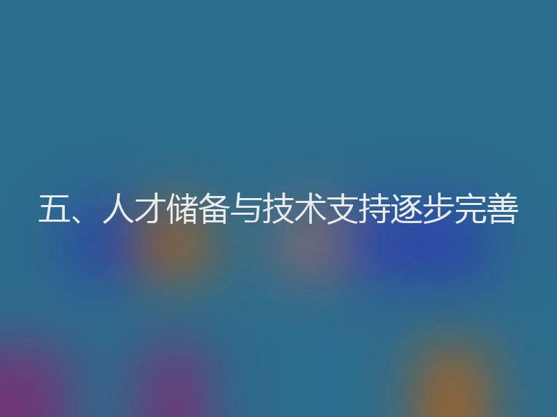 五、人才储备与技术支持逐步完善