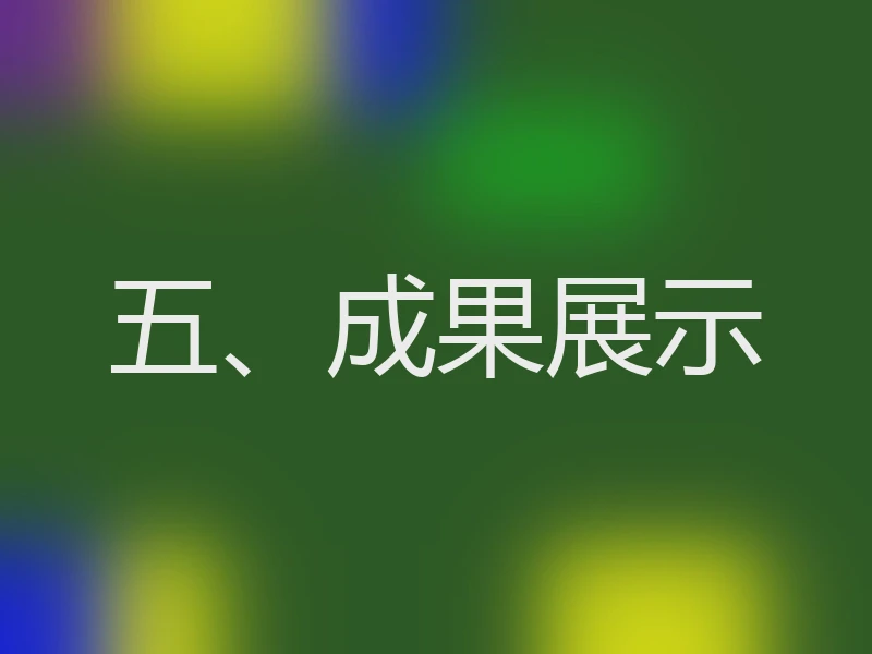 五、成果展示