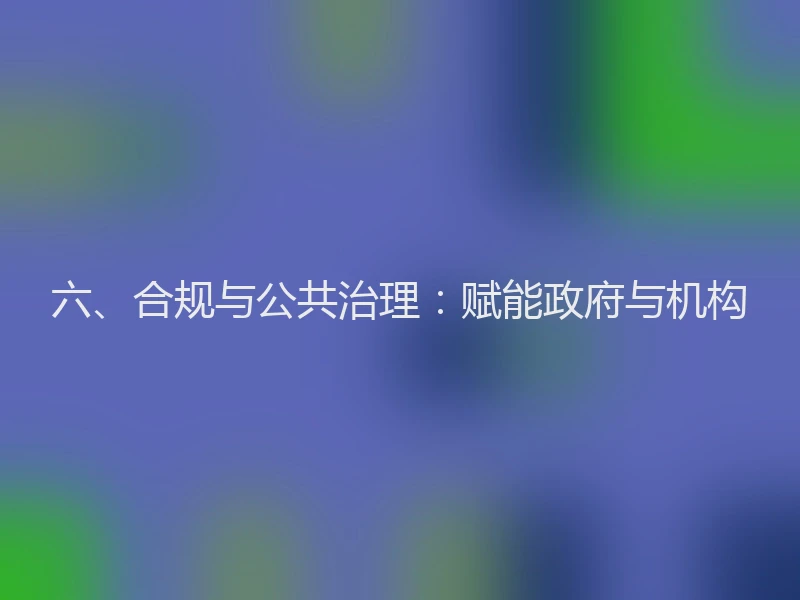 六、合规与公共治理：赋能政府与机构
