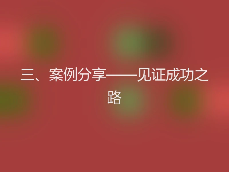 三、案例分享——见证成功之路
