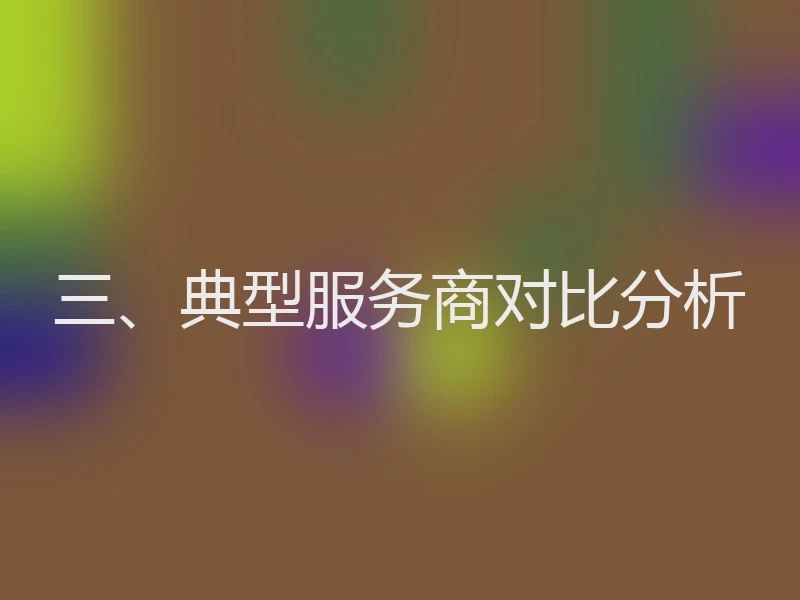 三、典型服务商对比分析