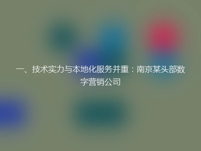 一、技术实力与本地化服务并重：南京某头部数字营销公司
