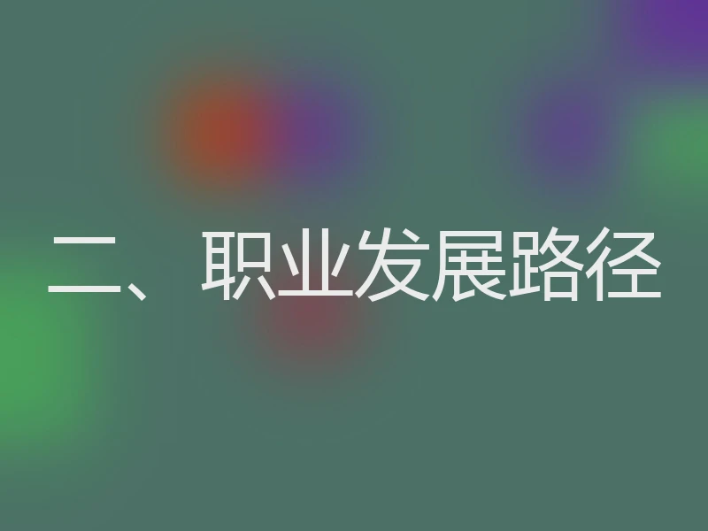 二、职业发展路径