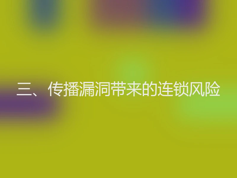 三、传播漏洞带来的连锁风险