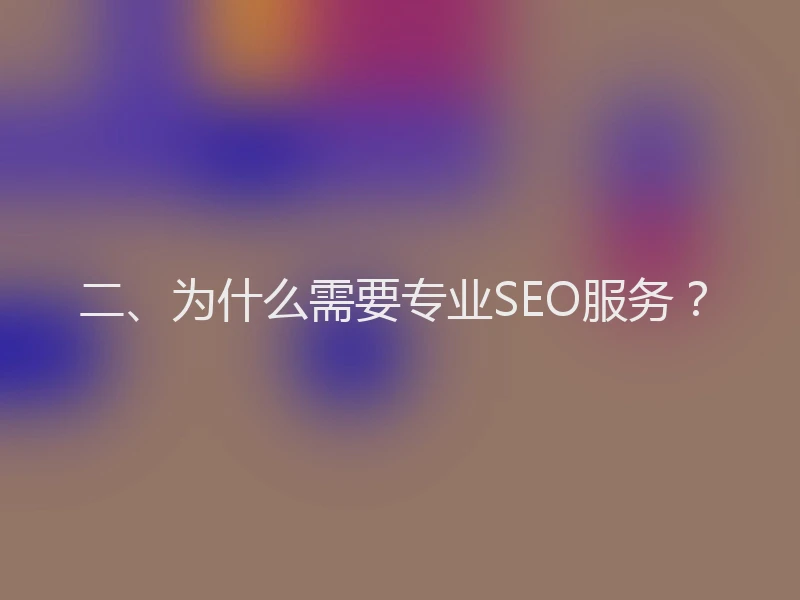 二、为什么需要专业SEO服务？