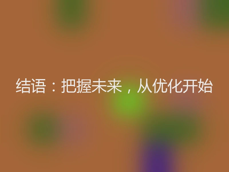 结语：把握未来，从优化开始