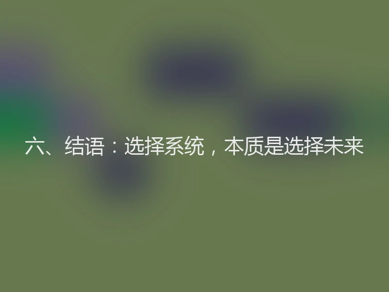 六、结语：选择系统，本质是选择未来