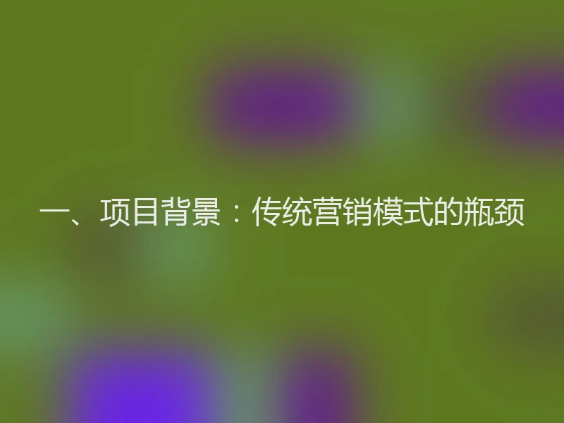 一、项目背景：传统营销模式的瓶颈