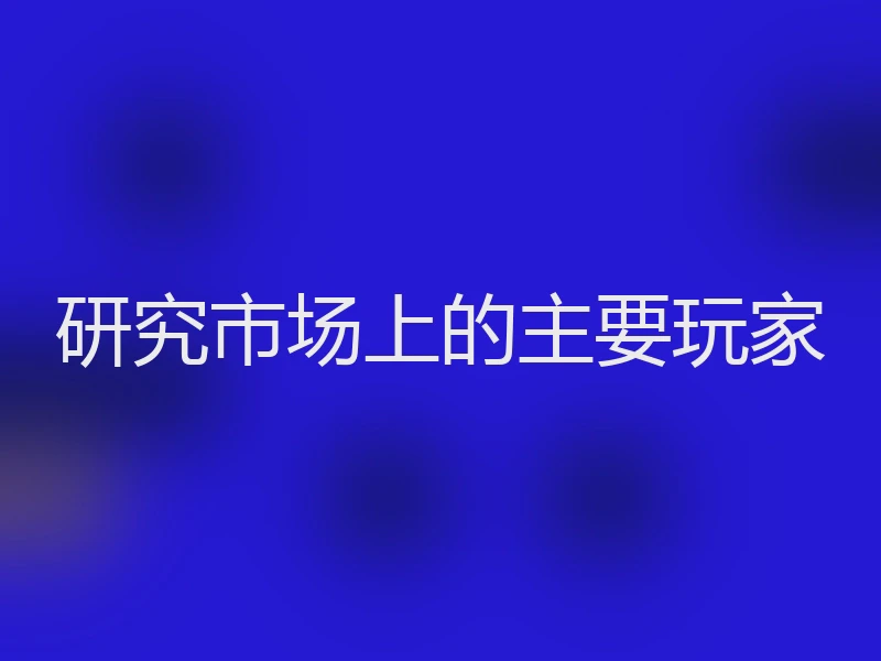 研究市场上的主要玩家