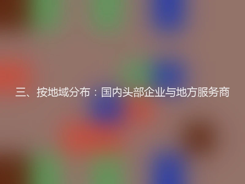 三、按地域分布：国内头部企业与地方服务商