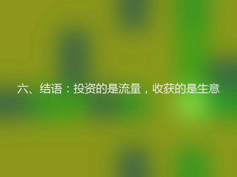 六、结语：投资的是流量，收获的是生意
