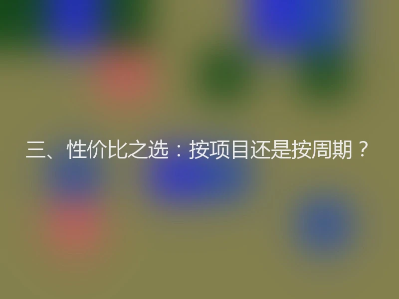 三、性价比之选：按项目还是按周期？