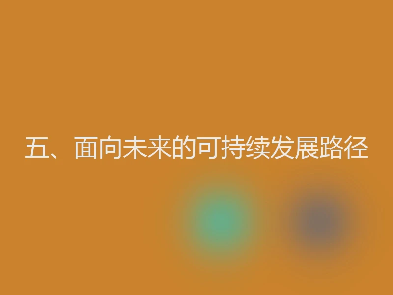 五、面向未来的可持续发展路径
