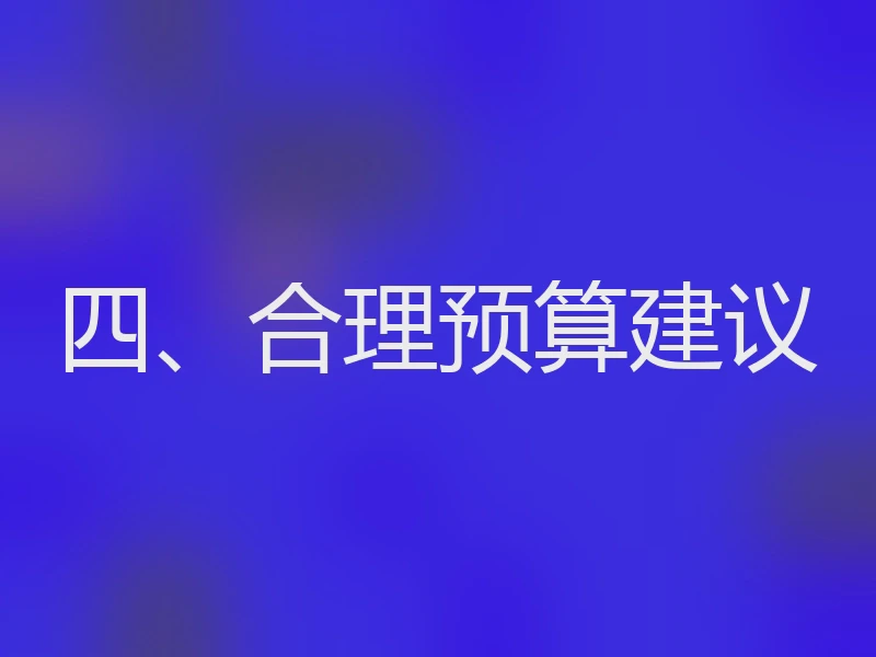四、合理预算建议