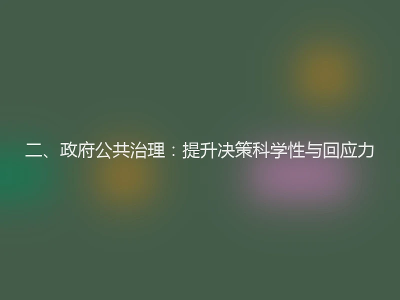 二、政府公共治理：提升决策科学性与回应力