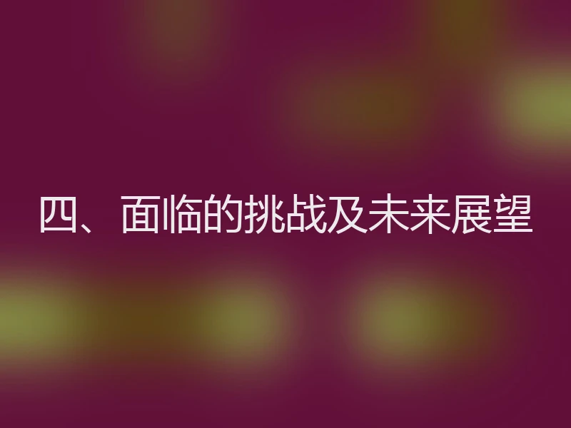 四、面临的挑战及未来展望