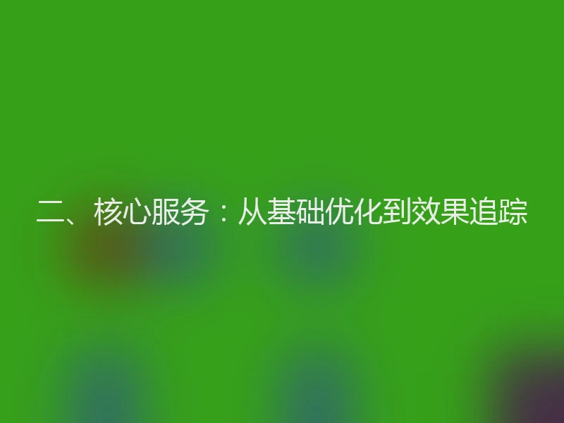 二、核心服务：从基础优化到效果追踪