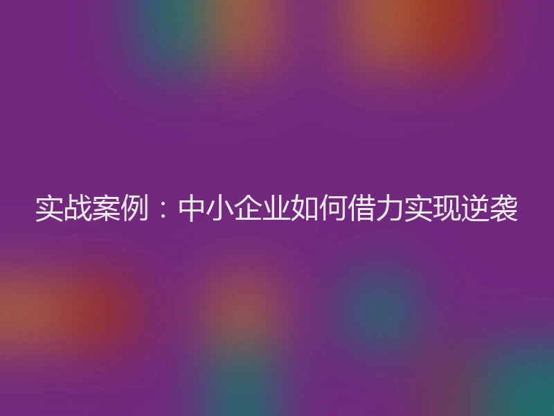 实战案例：中小企业如何借力实现逆袭