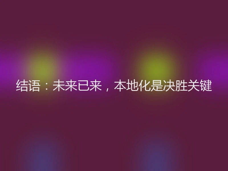 结语：未来已来，本地化是决胜关键