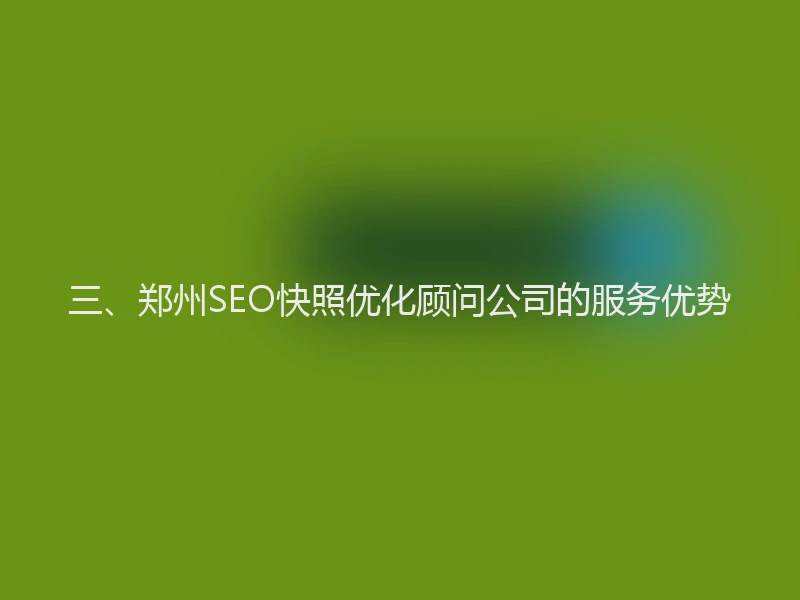 三、郑州SEO快照优化顾问公司的服务优势