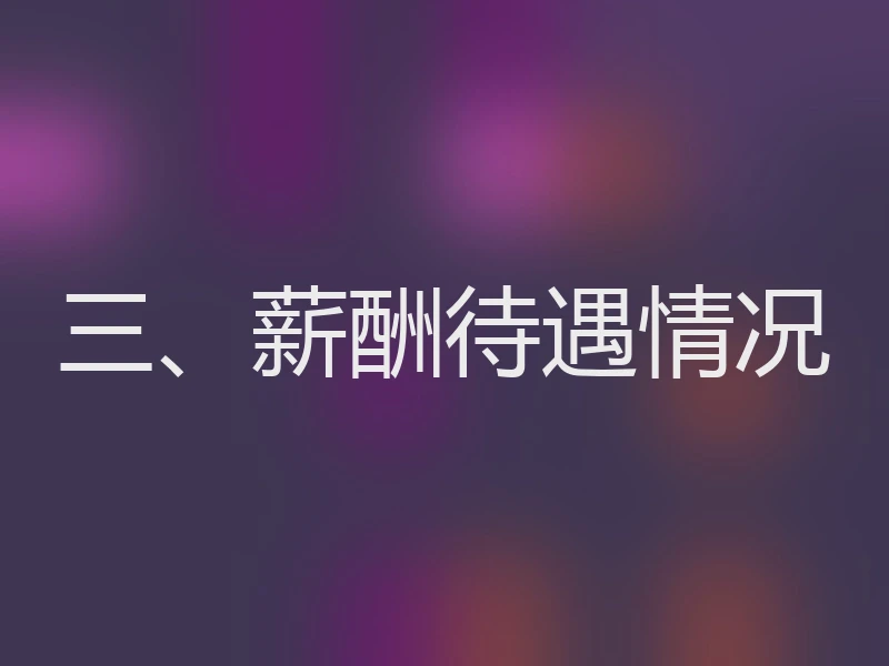 三、薪酬待遇情况