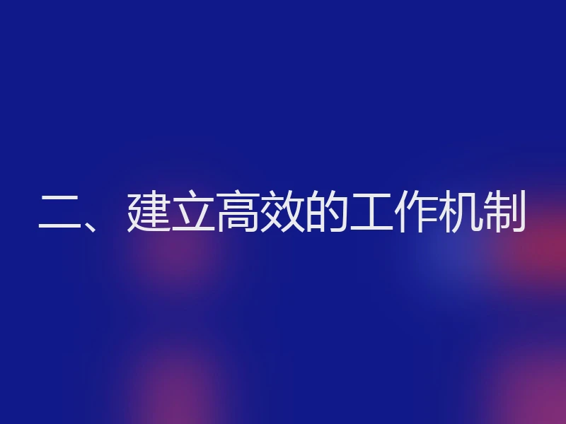 二、建立高效的工作机制