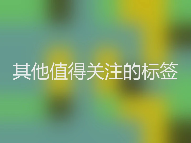 其他值得关注的标签