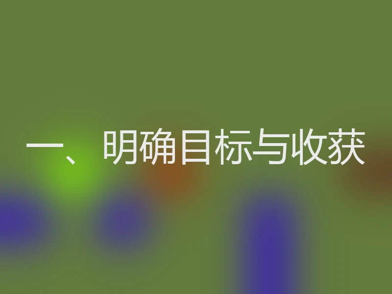 一、明确目标与收获
