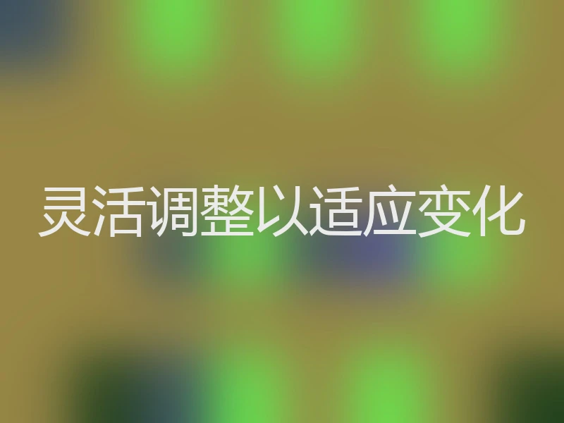 灵活调整以适应变化