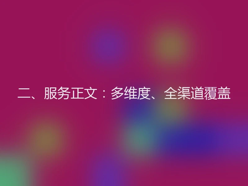 二、服务正文：多维度、全渠道覆盖