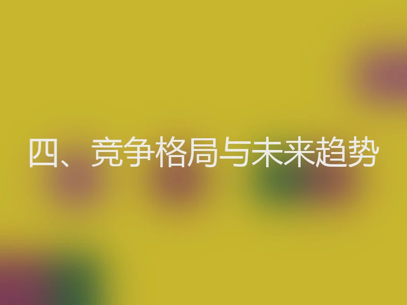 四、竞争格局与未来趋势