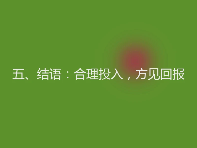五、结语：合理投入，方见回报